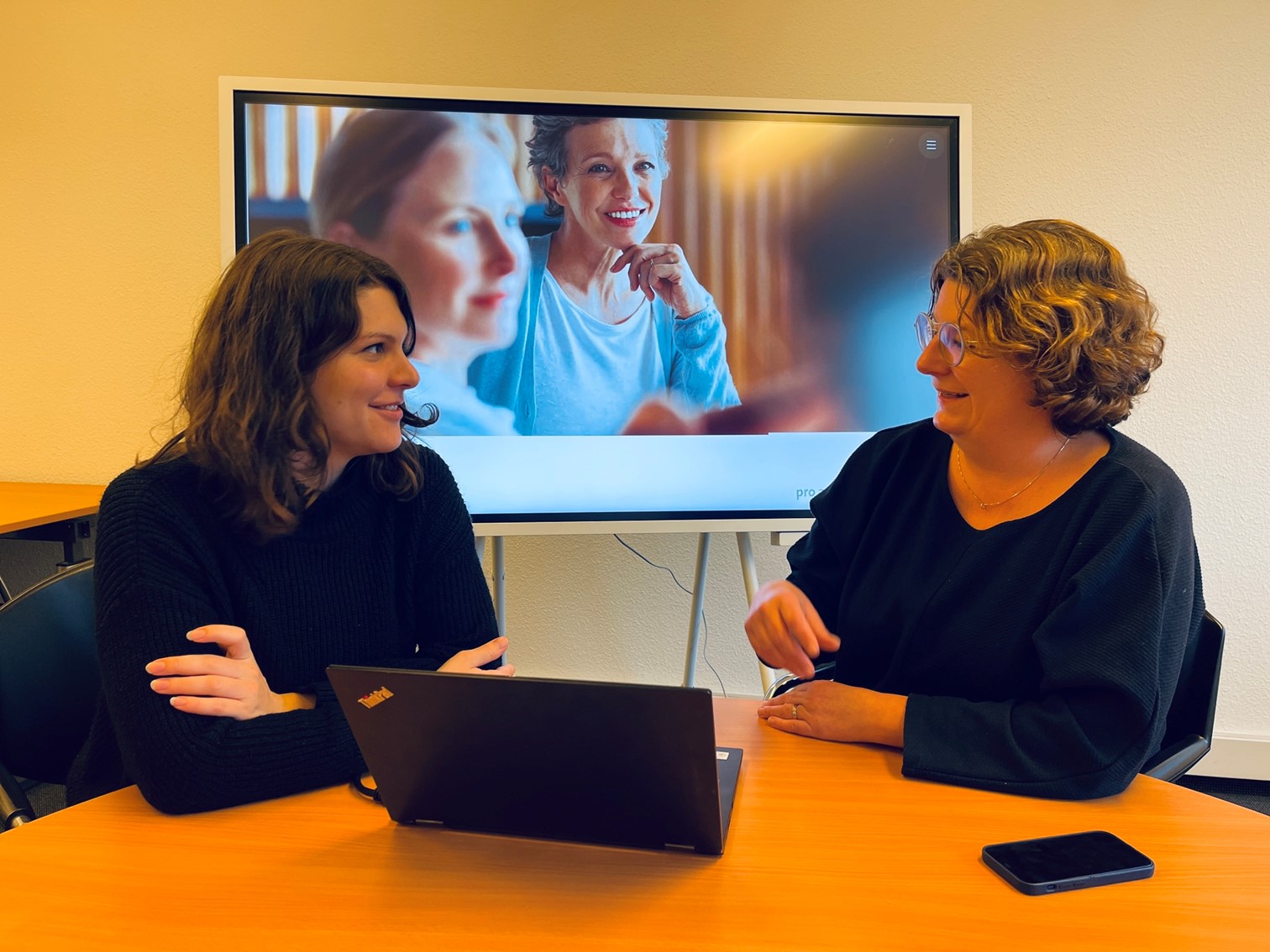 Pro Audito geschaeftsleitung